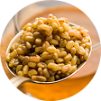 Fenugreek Extract